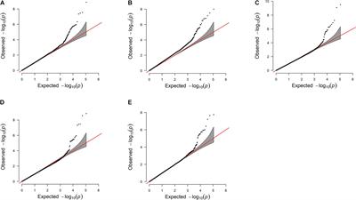 Genetic and Genomic Analyses of Service Sire Effect on Female Reproductive Traits in Holstein Cattle